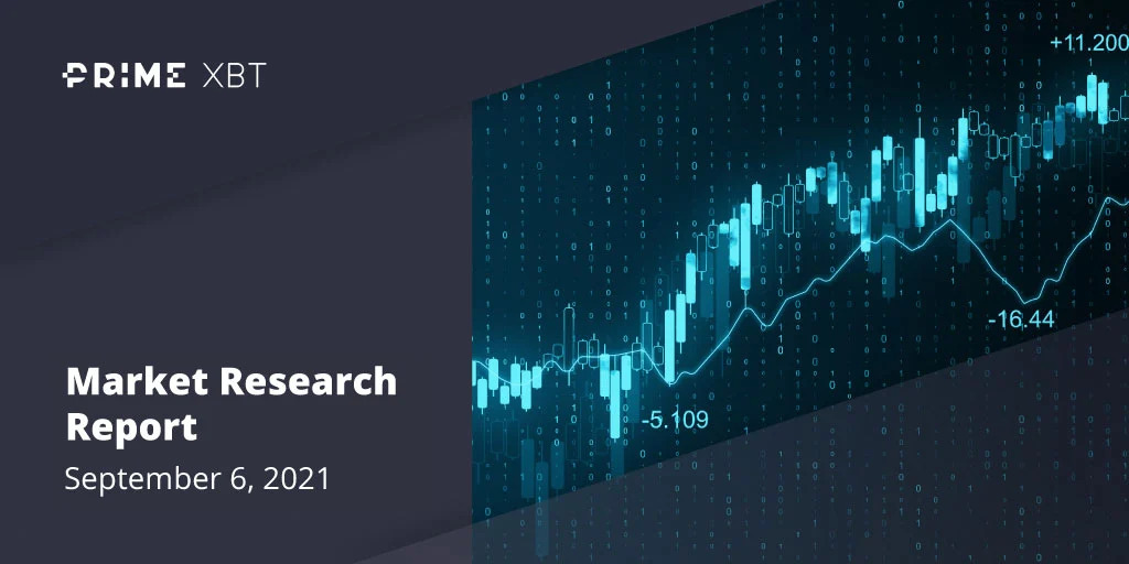 market-research-6-september