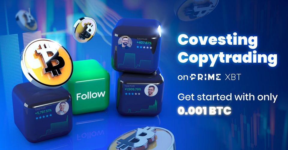 How to successfully primexbt copy trading and primexbt covesting review